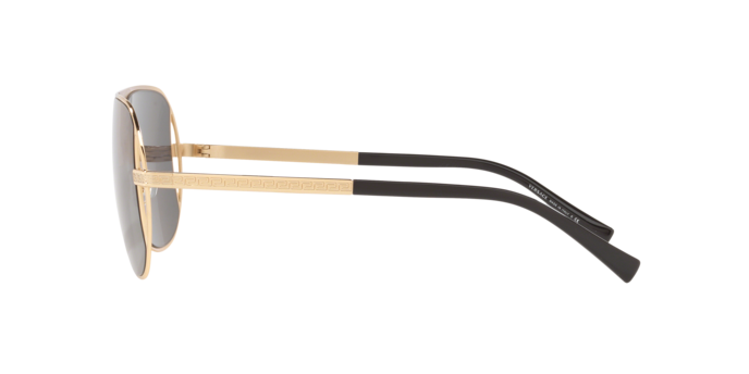 Versace VE2212 100287  